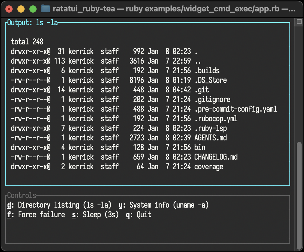 widget_cmd_exec
